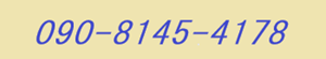 090-8145-4178